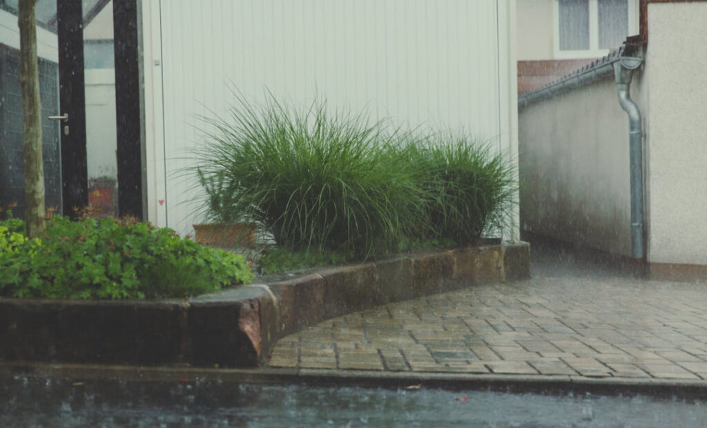 Rainy season: rain falling in a front yard.