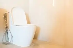 tankless toilets